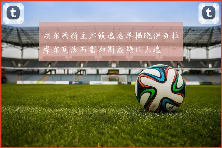 切尔西新主帅候选名单揭晓伊劳拉席尔瓦法布雷加斯成热门人选