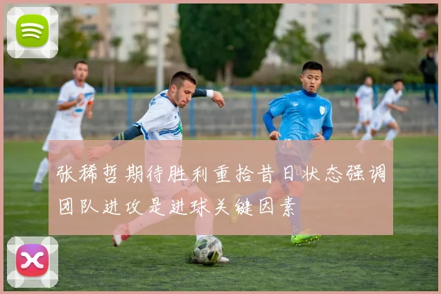 张稀哲期待胜利重拾昔日状态强调团队进攻是进球关键因素